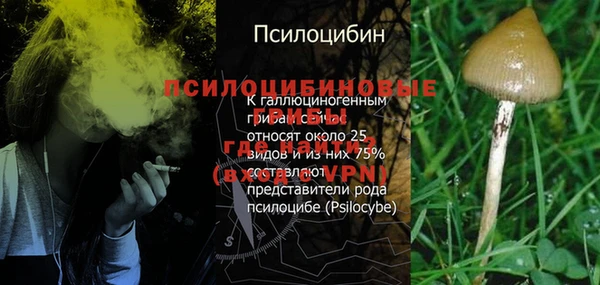 гидра Баксан